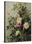 Roses on a Wall, 1877 (Oil on Canvas)-George Cochran Lambdin-Stretched Canvas