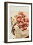 Roses on Bicycle-Steve Allsopp-Framed Photographic Print