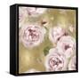 Roses on Gold II-Joanna Lane-Framed Stretched Canvas