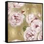 Roses on Gold II-Joanna Lane-Framed Stretched Canvas