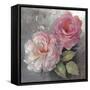 Roses on Gray I Crop-Peter McGowan-Framed Stretched Canvas