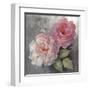 Roses on Gray I Crop-Peter McGowan-Framed Art Print