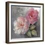 Roses on Gray I Crop-Peter McGowan-Framed Art Print