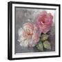 Roses on Gray I Crop-Peter McGowan-Framed Art Print