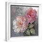 Roses on Gray I Crop-Peter McGowan-Framed Art Print