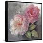 Roses on Gray I Crop-Peter McGowan-Framed Stretched Canvas