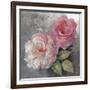 Roses on Gray I Crop-Peter McGowan-Framed Art Print