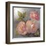 Roses on Gray II Crop-Peter McGowan-Framed Art Print