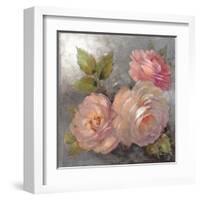 Roses on Gray II Crop-Peter McGowan-Framed Art Print