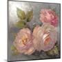 Roses on Gray II Crop-Peter McGowan-Mounted Art Print