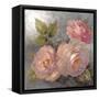 Roses on Gray II Crop-Peter McGowan-Framed Stretched Canvas
