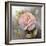 Roses on Gray IV Crop-Peter McGowan-Framed Art Print