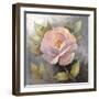 Roses on Gray IV Crop-Peter McGowan-Framed Art Print