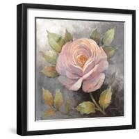 Roses on Gray IV Crop-Peter McGowan-Framed Art Print