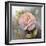 Roses on Gray IV Crop-Peter McGowan-Framed Art Print