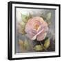 Roses on Gray IV Crop-Peter McGowan-Framed Art Print