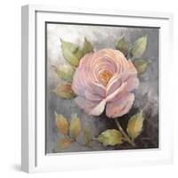 Roses on Gray IV Crop-Peter McGowan-Framed Art Print