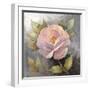 Roses on Gray IV Crop-Peter McGowan-Framed Art Print