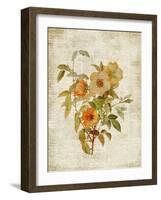 Roses on Newsprint I-Lanie Loreth-Framed Art Print