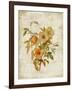 Roses on Newsprint I-Lanie Loreth-Framed Art Print