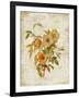 Roses on Newsprint I-Lanie Loreth-Framed Art Print