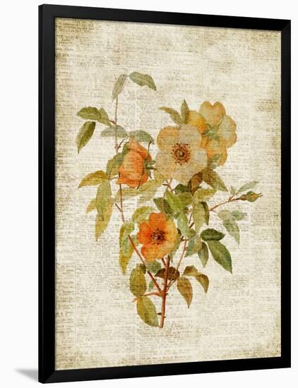 Roses on Newsprint I-Lanie Loreth-Framed Art Print