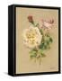 Roses on Quilt I-Cheri Blum-Framed Stretched Canvas