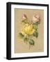 Roses on Quilt II-Cheri Blum-Framed Art Print