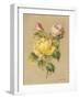 Roses on Quilt II-Cheri Blum-Framed Art Print