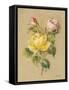 Roses on Quilt II-Cheri Blum-Framed Stretched Canvas