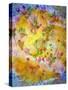 Roses on Yellow-Alaya Gadeh-Stretched Canvas