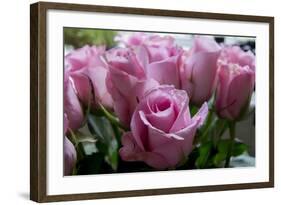 Roses Pink-Charles Bowman-Framed Photographic Print