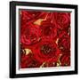 Roses - Red on Gold-Kate Bennett-Framed Art Print