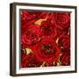 Roses - Red on Gold-Kate Bennett-Framed Art Print