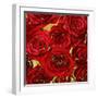 Roses - Red on Gold-Kate Bennett-Framed Art Print