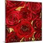 Roses - Red on Gold-Kate Bennett-Mounted Art Print