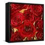 Roses - Red on Gold-Kate Bennett-Framed Stretched Canvas