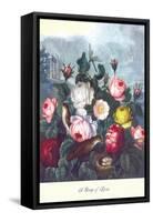 Roses, Temple of Flora-null-Framed Stretched Canvas