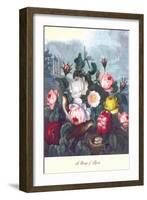 Roses, Temple of Flora-null-Framed Art Print