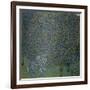 Roses under the Trees, c. 1905-Gustav Klimt-Framed Giclee Print