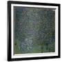 Roses under the Trees, c. 1905-Gustav Klimt-Framed Giclee Print