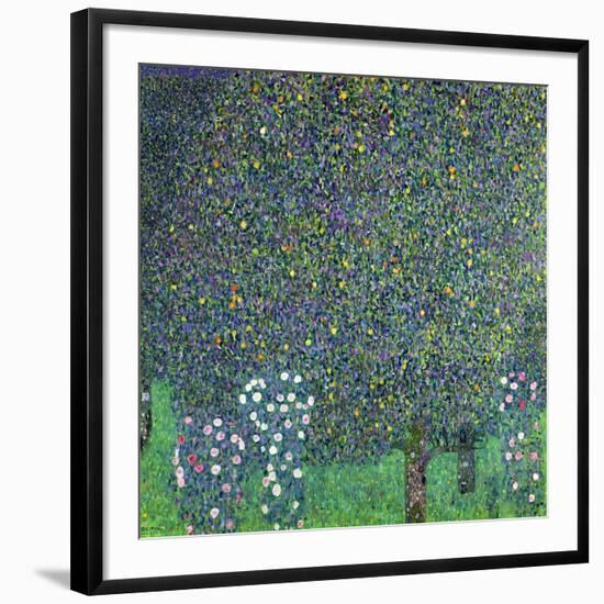 Roses Under the Trees, circa 1905-Gustav Klimt-Framed Premium Giclee Print