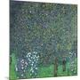 Roses Under the Trees, circa 1905-Gustav Klimt-Mounted Premium Giclee Print