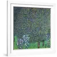 Roses Under the Trees, circa 1905-Gustav Klimt-Framed Giclee Print