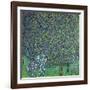 Roses Under the Trees, circa 1905-Gustav Klimt-Framed Giclee Print