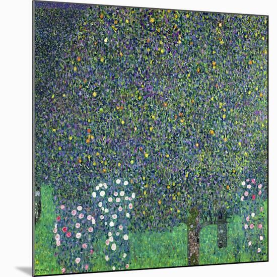 Roses Under the Trees, circa 1905-Gustav Klimt-Mounted Giclee Print