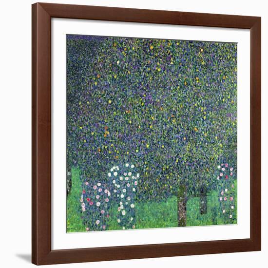 Roses Under the Trees, circa 1905-Gustav Klimt-Framed Giclee Print