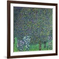 Roses Under the Trees, circa 1905-Gustav Klimt-Framed Giclee Print