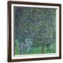 Roses Under the Trees, circa 1905-Gustav Klimt-Framed Giclee Print