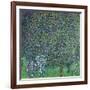 Roses Under the Trees, circa 1905-Gustav Klimt-Framed Giclee Print